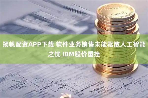 扬帆配资APP下载 软件业务销售未能驱散人工智能之忧 IBM股价重挫