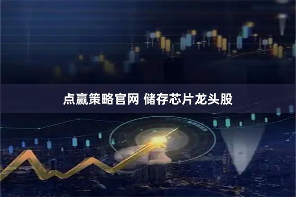 点赢策略官网 储存芯片龙头股