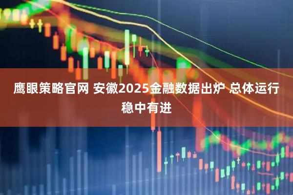 鹰眼策略官网 安徽2025金融数据出炉 总体运行稳中有进